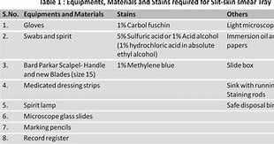 Slit Skin Smear Cara Bacanya Dalam Bahasa Indonesia